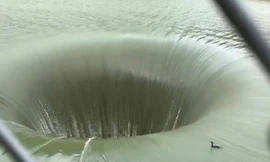 Chim cốc gây sốt mạng khi bay thoát khỏi xoáy nước tử thần