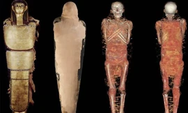 Xác ướp bí ẩn 2.000 năm tuổi được cho là xác ướp của một "bác sĩ nhãn khoa" thời cổ đại.