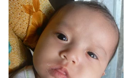 Cả nhà bị bệnh hành hạ