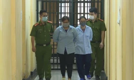 Cơ quan điều tra đã thực hiện lệnh bắt và tạm giam đối với Nguyễn Anh Thư và Phạm Ngọc Thảo để điều tra về hành vi mang thai hộ vì mục đích thương mại