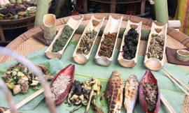 NHÌN THẲNG 21/3: Bệnh từ miệng mà vào