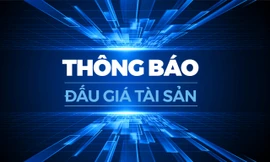 Công ty Đấu giá Hợp danh Quốc gia thông báo đấu giá tài sản