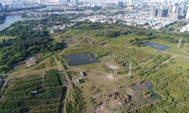 Vụ đất công giá 'bèo': Đề xuất kỷ luật ông Tất Thành Cang