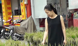 Người Sài Gòn mua lúa kiểng về chưng Tết