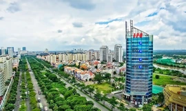 Đình chỉ công tác Tổng giám đốc Công ty Tân Thuận