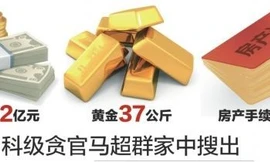 Phát hiện 37 kg vàng, 68 sổ đỏ, 20 triệu USD tại nhà quan chức TQ