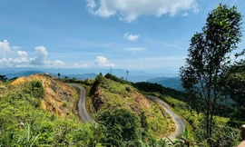 Thanh tra chỉ ra hàng loạt sai sót tại các dự án đầu tư xây dựng của Sở Nông nghiệp Khánh Hòa