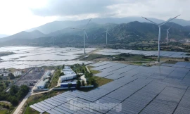 Cựu cục phó cục thuế bị khởi tố vì không truy thu 73 tỷ đồng của 2 doanh nghiệp điện mặt trời 