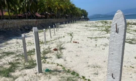 Vụ quây rào chắn biển không cho khách xuống tắm ở Nha Trang: Doanh nghiệp bắt đầu tháo dỡ, cam kết xong trước 10/5