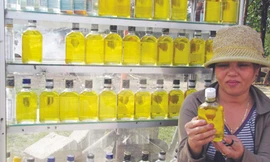 Nhìn từ bên ngoài chai, với nhiều màu sắc khác nhau, khó phân biệt đâu là dầu tràm thật