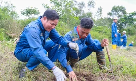 Cán bộ nhân viên BSR tham gia trồng cây tại khuôn viên nhà máy lọc dầu Dung Quất. 