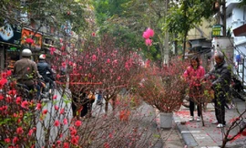 Doanh nghiệp cho người lao động nghỉ Tết Nguyên đán Ất Tỵ 2025 tới 11 ngày. Ảnh minh họa, ST. 