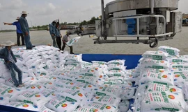 Đề xuất tăng thuế xuất khẩu, nhằm giảm giá phân bón trong nước. ảnh minh họa 