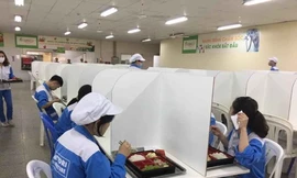 Nhiều công ty lắp “vách ngăn” ở nhà ăn phòng Covid-19. 