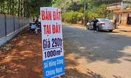 Bắt đầu hậu kiểm thuế với hồ sơ chuyển nhượng bất động sản. ảnh minh hoạ 