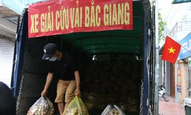 Nhiều nhóm thiện nguyện Hà Nội hỗ trợ bán vải Bắc Giang