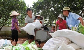 Xuất cấp gạo cho người dân bị ảnh hưởng bão lũ. Ảnh:BTC. 