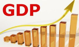 Bất chấp COVID-19, GDP 6 tháng đầu năm 2021 tăng 5,64% . ảnh minh hoạ 