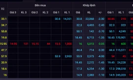 Cả trăm cổ phiếu nằm sàn, trắng bên mua. 
