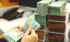 Thu từ cổ tức ngân hàng góp phần giúp thu ngân sách nội địa tăng 13% . ảnh minh hoạ 