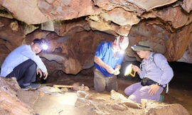 Công bố phát hiện 11 hang động huyền bí và di cốt người có niên đại 1 vạn năm tại Tam Chúc