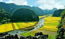 Ninh Bình được vinh danh điểm đến đẹp nhất 2023