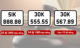493 biển số ô tô được đấu giá thành công với tổng số tiền gần 215 tỷ đồng