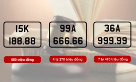 Biển số 99A - 666.66 và 36A- 999.99 đấu giá được hơn 11 tỷ đồng