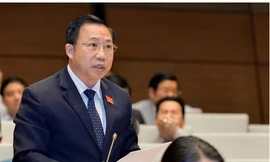 Vì sao vợ ông Lưu Bình Nhưỡng nộp 300.000 USD cho Cục thi hành án dân sự?