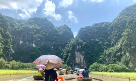 Du khách mê mẩn với ‘Sắc vàng Tam Cốc - Tràng An’
