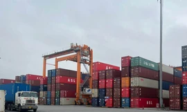 Hải quan điều tra đường đi của 40 tấn gỗ trắc