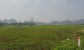 Ninh Bình vẫn giao 7,5ha đất khi chưa xác định giá, không qua đấu giá cho Tập đoàn Thành Thắng