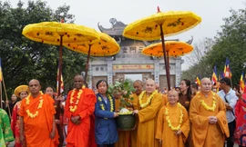 Hàng nghìn người đón cây bồ đề thiêng từ Sri Lanka về chùa Bái Đính