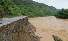 Khôi phục sản xuất, ổn định đời sống sau bão, lũ