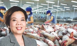 Công ty 'nữ hoàng' cá tra ngậm đắng khi đầu tư cổ phiếu 2 doanh nghiệp địa ốc
