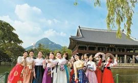 Bất ngờ về độ 'vung' tiền của du khách Việt tại Hàn Quốc