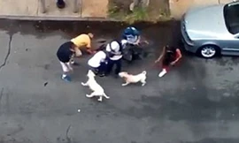 Người dân giải cứu hai người đàn ông khỏi những con chó dữ.