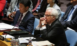 Đại sứ Nga tại Liên Hợp quốc Vitaly Churkin trong cuộc họp của Hội đồng Bảo an