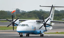 Máy bay hạ cánh khẩn cấp vì con ong kẹt trong động cơ