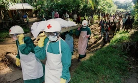 121 người chết vì dịch Ebola ở Sierra Leone chỉ trong một ngày