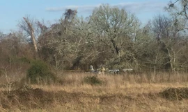 Khu vực xảy ra vụ tai nạn 