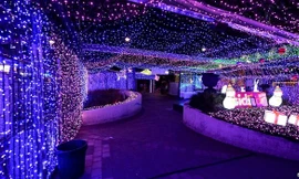 Dây đèn giáng sinh 1,2 triệu bóng lập kỷ lục thế giới