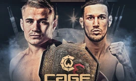 Võ tổng hợp (MMA) đang trở nên hấp dẫn với công chúng Việt Nam.