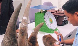 Ngành Hải quan bắt giữ, xử lý 1.671 vụ vi phạm trong tháng 5/2013