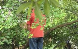 Bị cướp khi dừng xe… tè bậy