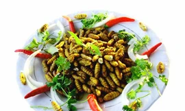 Nhộng tằm, dễ ngộ độc nếu bị ngâm tẩm