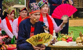 Lễ hội cầu may dưới cây bông 