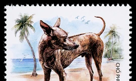 'Tứ đại quốc khuyển Việt Nam' lên tem bưu chính