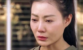 Phim về người làm báo