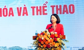 Phó Chủ tịch UBND TP Hà Nội: Không thể lấy lý do 'muôn vàn khó khăn' để đình trệ dự án văn hóa